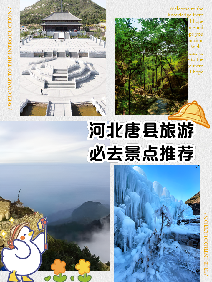 手机版下载河北唐县(河北唐县官网)-第2张图片-太平洋在线下载