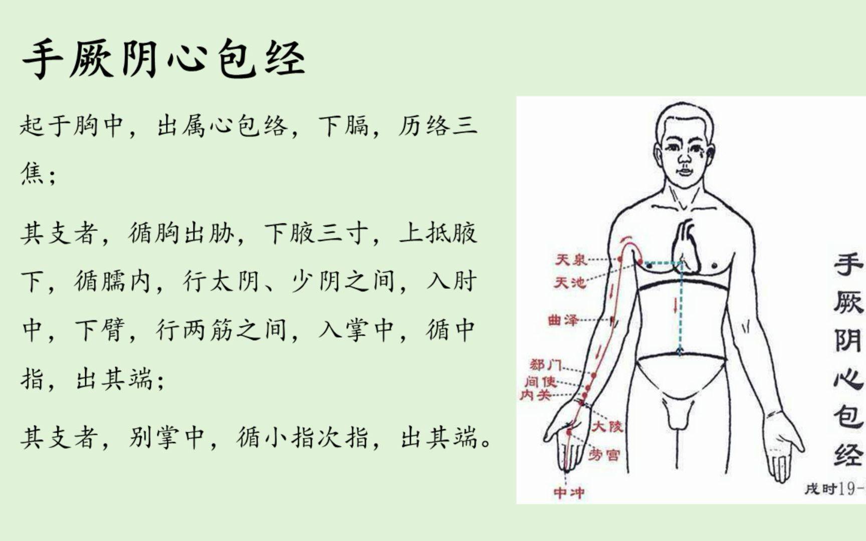 心包经手机版教程(心包经在哪里呀有视频吗)