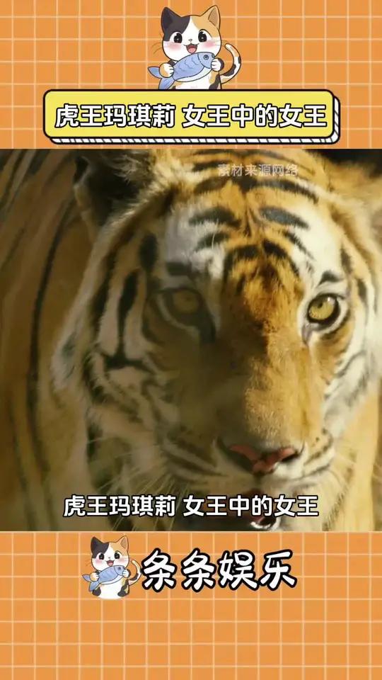 手机版恐怖战绩查询(手机版恐怖战绩查询在哪)-第2张图片-亚星国际官网