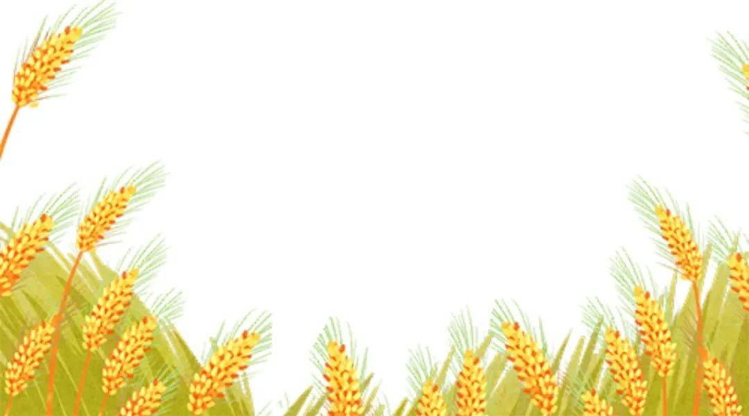 稻壳ppt手机版下载(稻壳ppt制作教程步骤)