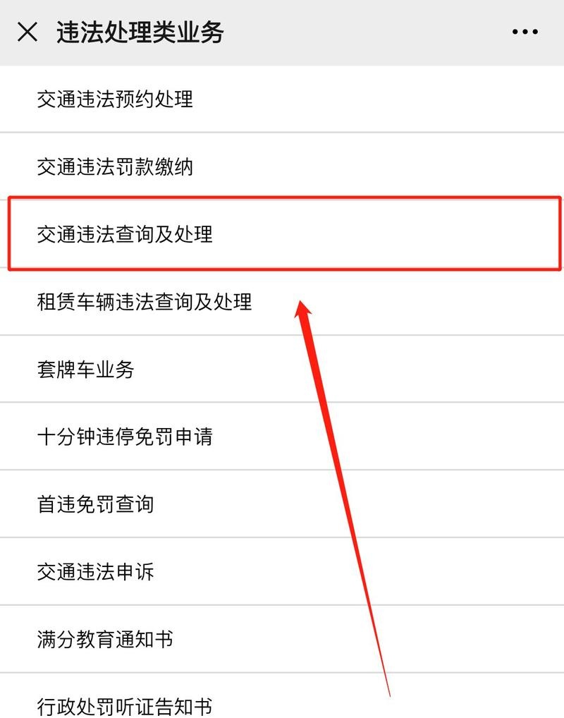 违章查询手机版免费(违章查询在线查询app)-第2张图片-太平洋在线下载