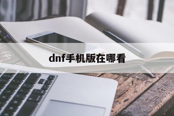 dnf手机版在哪看(怎么用手机看dnf角色)