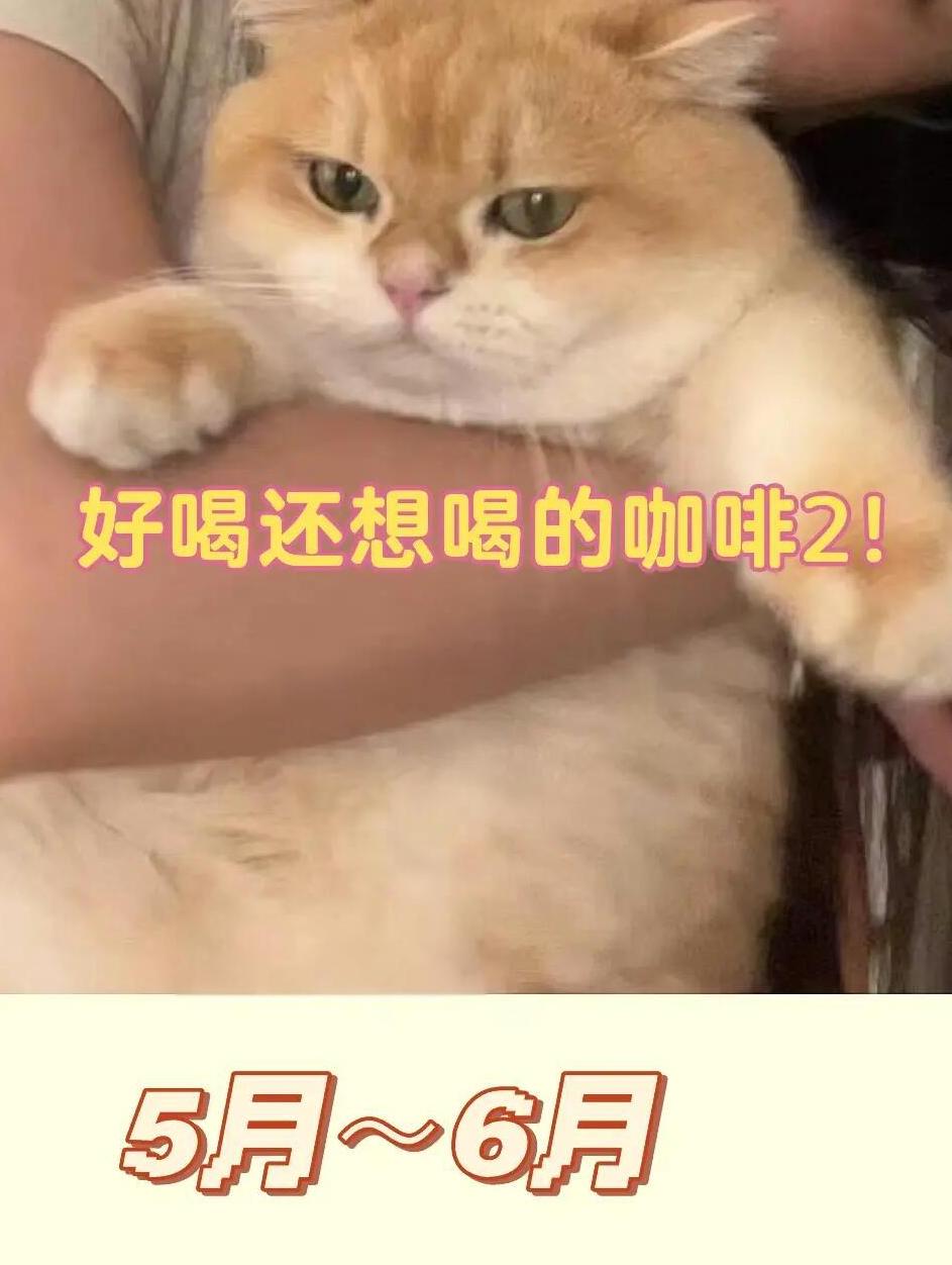 手机版手冲考验游戏(充满陷阱的手冲考验游戏截图)-第2张图片-太平洋在线下载
