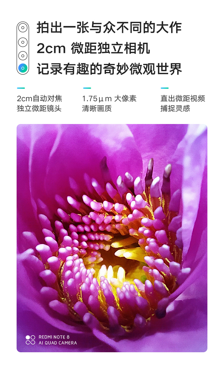 手机公开版有什么功能(手机公开版和标准版什么区别)-第1张图片-太平洋在线下载