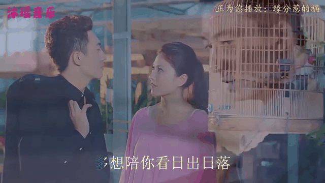 缘分惹的祸手机版(缘分惹的祸是什么电视剧的主题歌)-第2张图片-太平洋在线下载