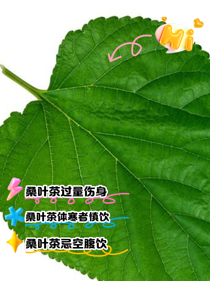 桑叶手机免费版(720p 下载桑叶)