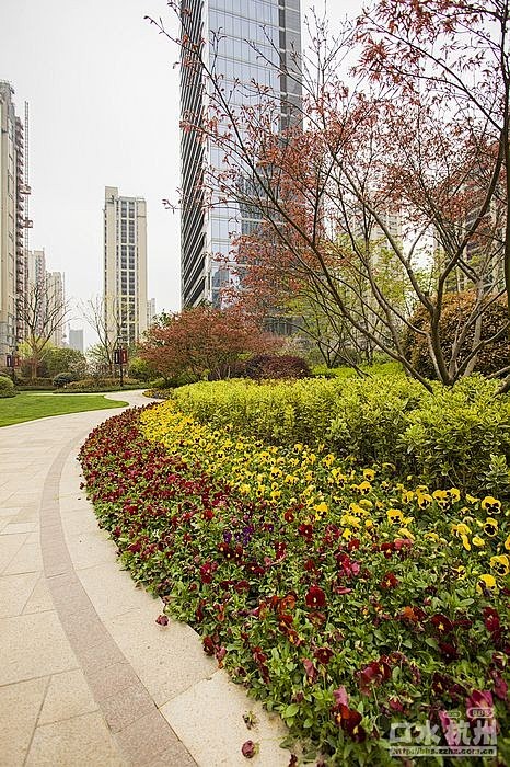 口水楼市手机版(口水楼市业主论坛)