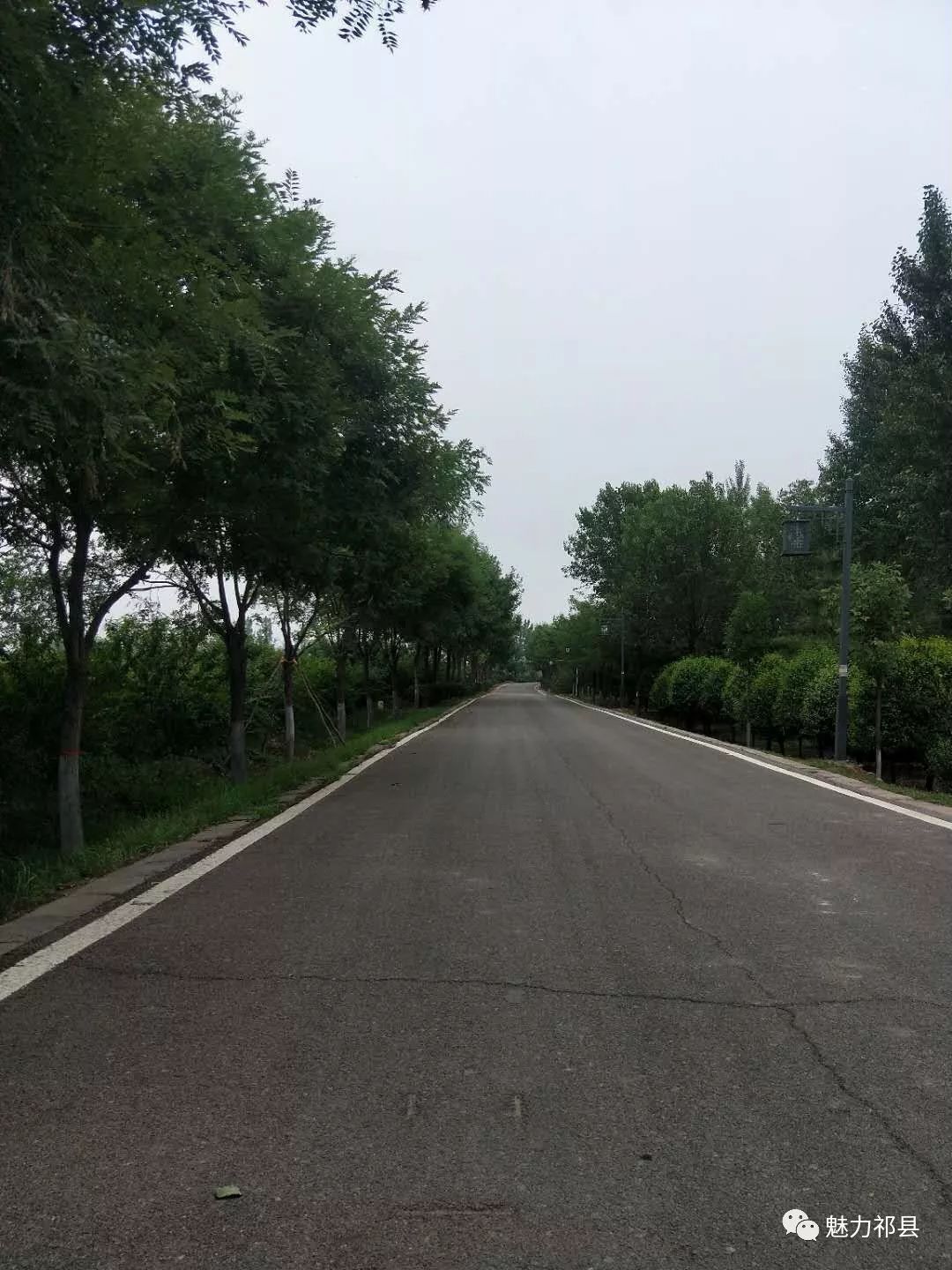 智慧祁县app手机版(智慧祁县app手机版下载)