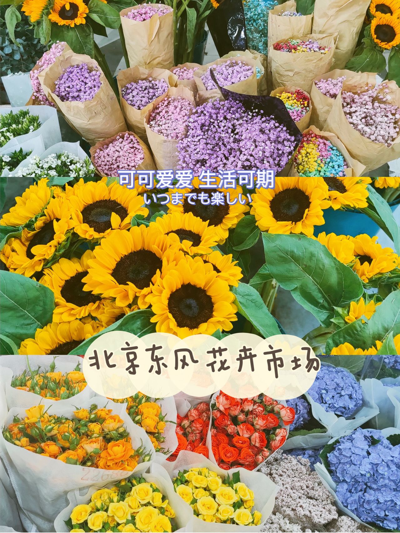 n多市场手机版(多多市场手机版下载)