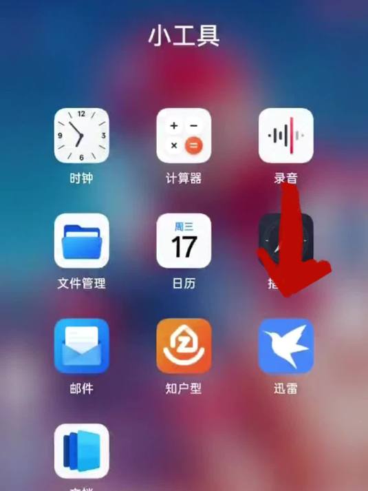 迅雷手机版怎么玩(迅雷手机版怎么开车)
