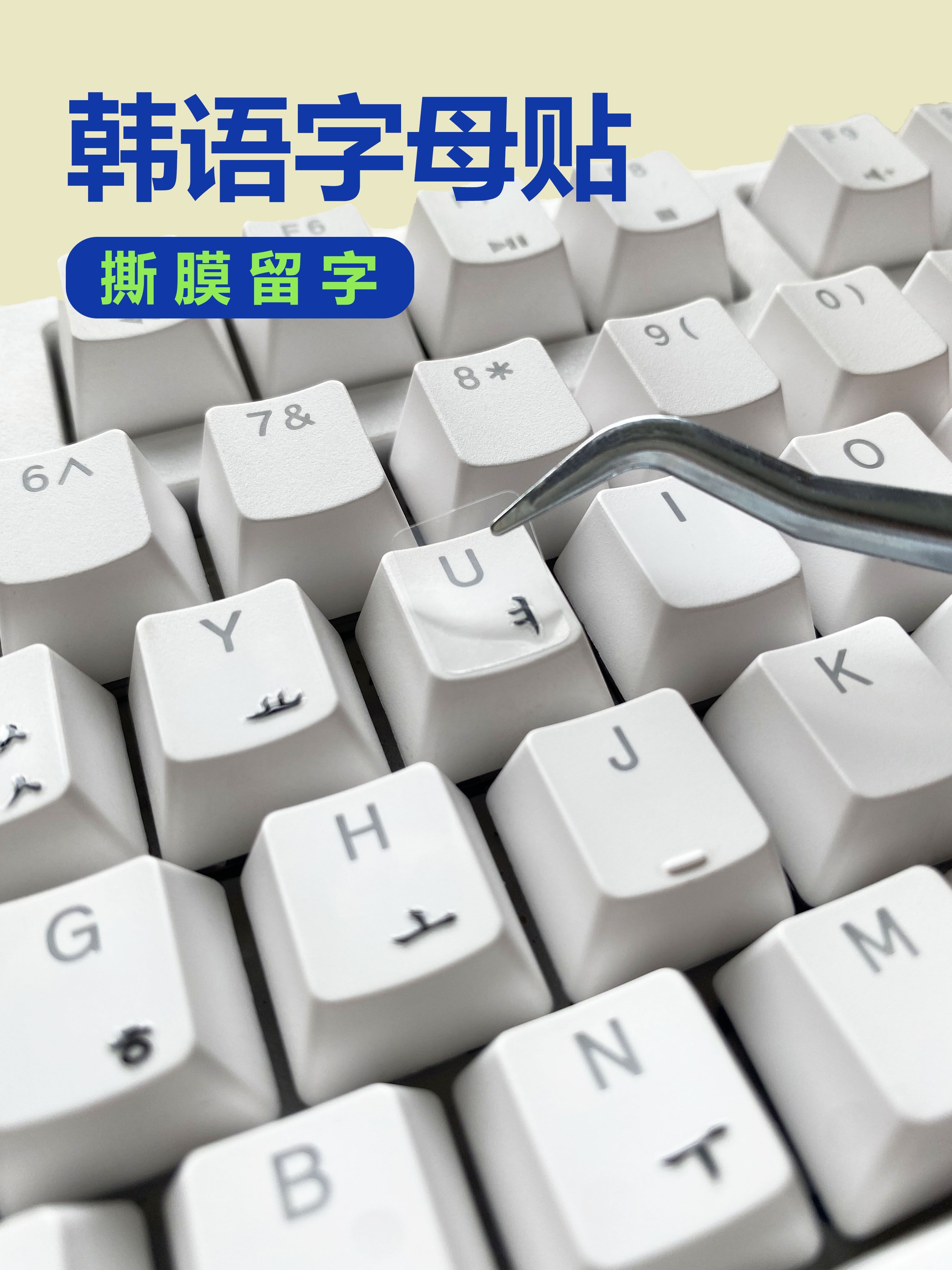 go韩语输入法手机版(go韩语输入法手机版下载)-第2张图片-太平洋在线下载