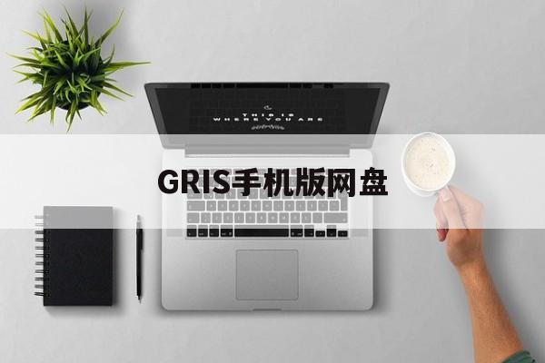 GRIS手机版网盘(gris安卓版百度云)