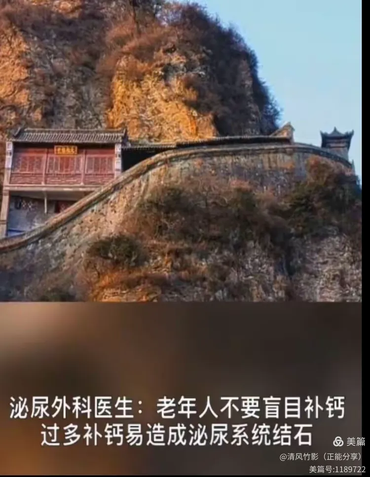 文化随身行手机版(文化随身行手机版全屏怎么打开)-第2张图片-太平洋在线下载