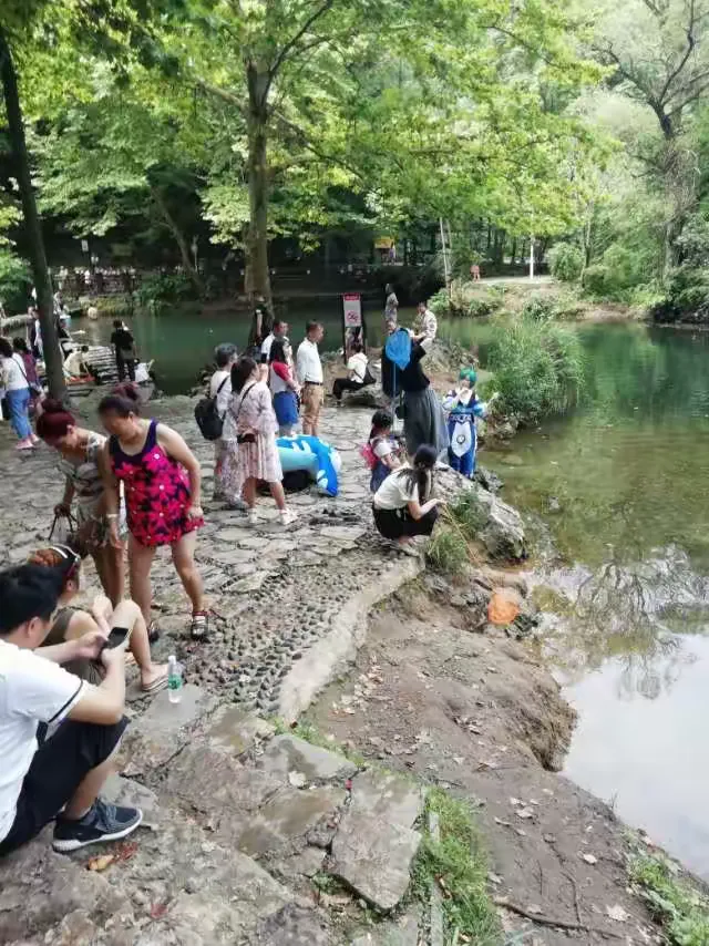 阿哈模拟视频手机版(阿哈虚拟视频软件下载)-第1张图片-太平洋在线下载