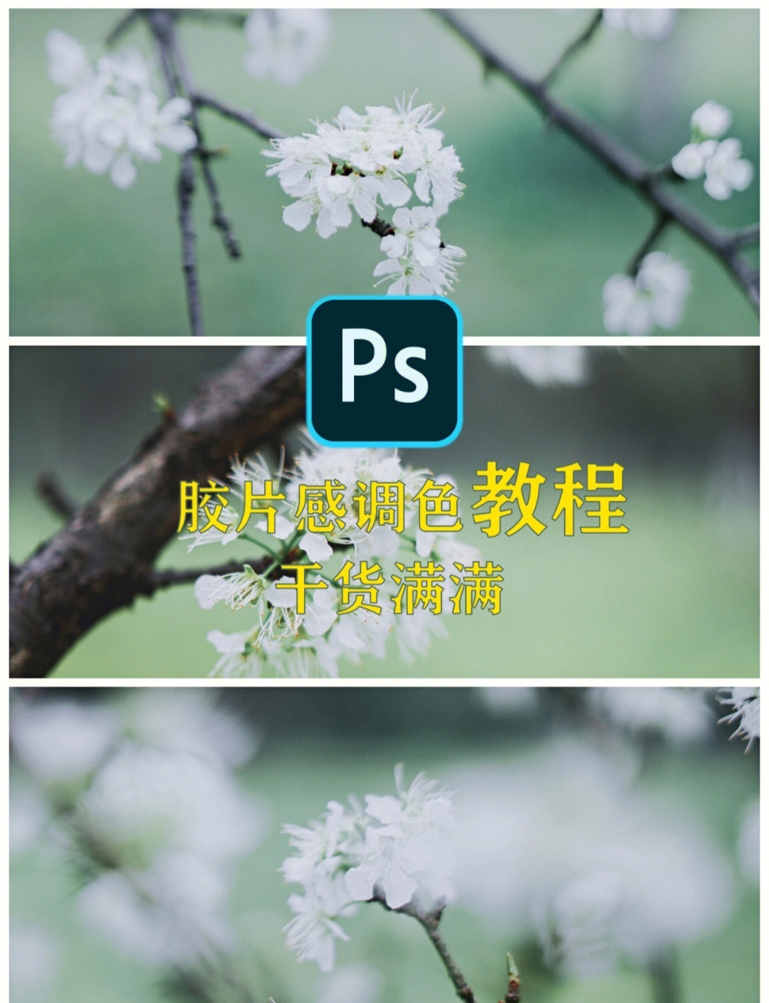 手机版ps视频教学(手机版ps教程入门教程)-第2张图片-太平洋在线下载