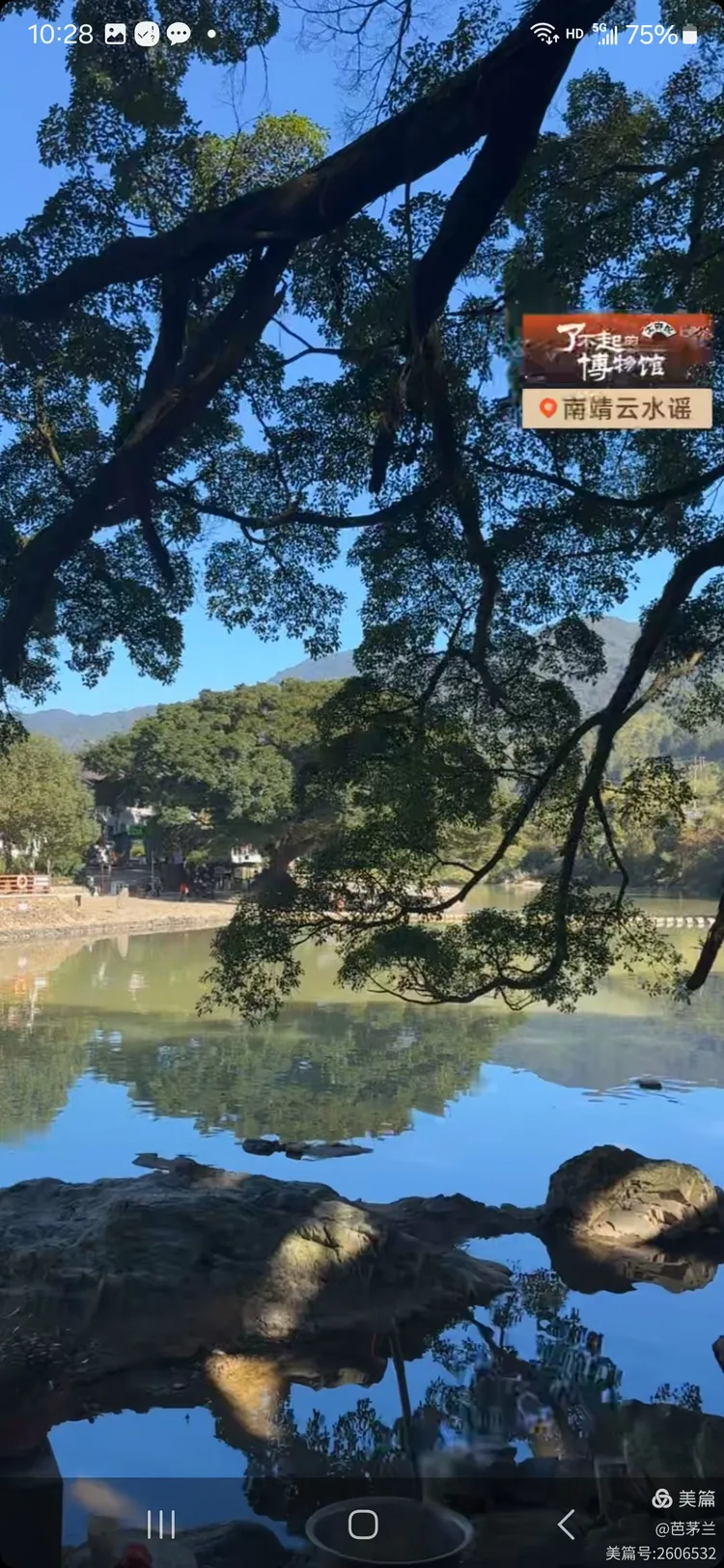 云游福建下载手机版(福建云游网络科技有限公司)